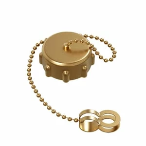 Coupon 🛒 PROFLO® 3/4 in. FHT Brass Hose adaptor Cap with 12 Chain Washer 🎁 1 Coupon 🛒 PROFLO® 3/4 in. FHT Brass Hose adaptor Cap with 12 Chain Washer 🎁