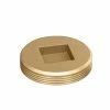 Best Pirce 🤩 PROFLO® PFBP5CSK Series 5 in. IPS Countersunk Square Head Domestic Brass Plug 😍